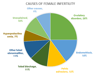 Causes of female infertiity - can preconception care help?